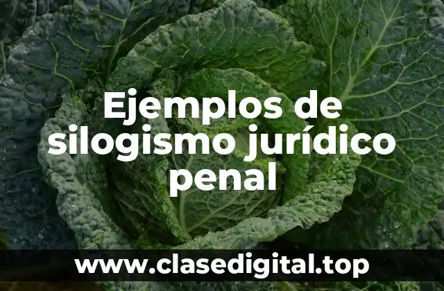 Ejemplos de silogismo jurídico penal