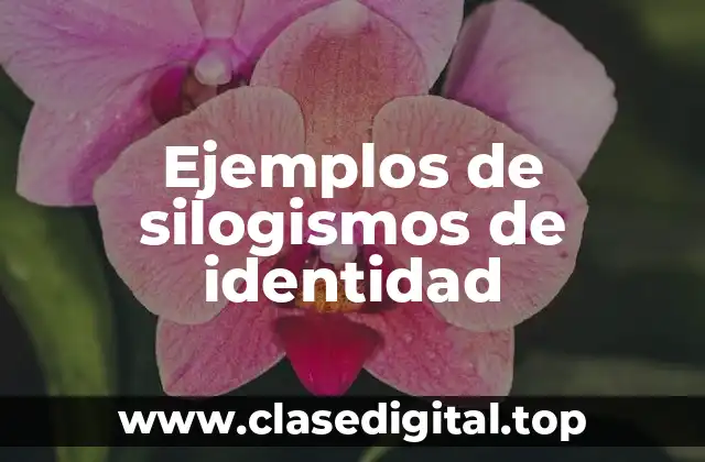 Ejemplos de silogismos de identidad