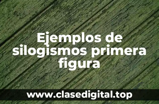 Ejemplos de silogismos primera figura