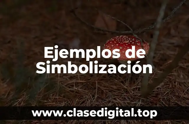 Ejemplos de Simbolización
