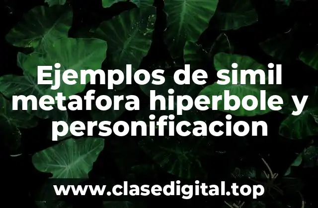 Ejemplos de simil metafora hiperbole y personificacion