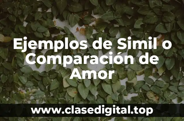 Ejemplos de Simil o Comparación de Amor