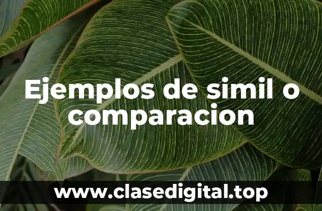 Ejemplos de simil o comparacion