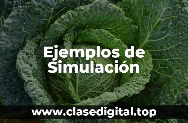 Ejemplos de Simulación