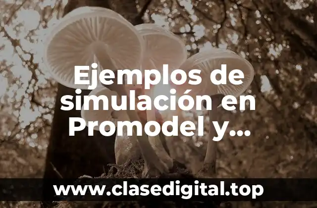 Ejemplos de simulación en Promodel y Significado