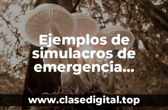 Ejemplos de simulacros de emergencia ambiental