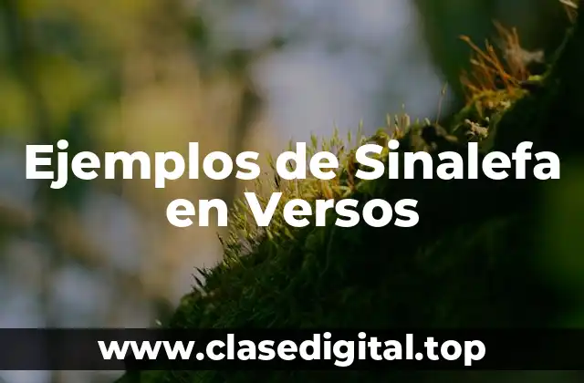 Ejemplos de Sinalefa en Versos