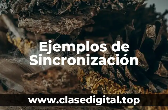 Ejemplos de Sincronización