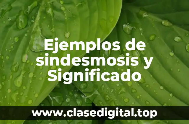 Ejemplos de sindesmosis y Significado