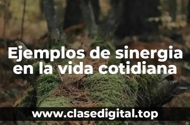 Ejemplos de sinergia en la vida cotidiana