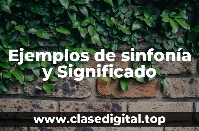 Ejemplos de sinfonía y Significado