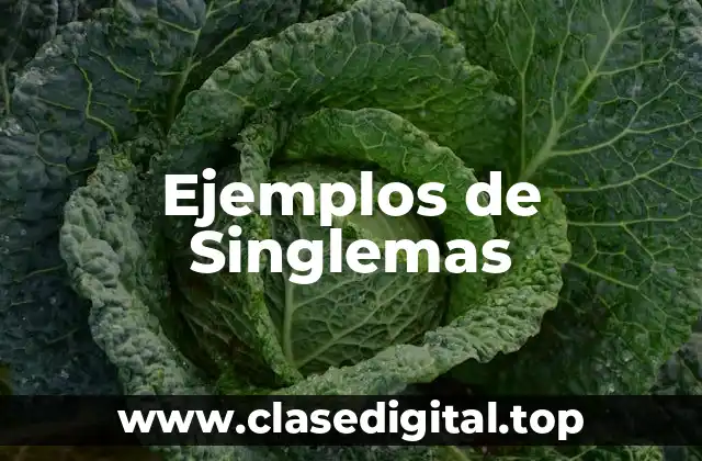 Ejemplos de Singlemas