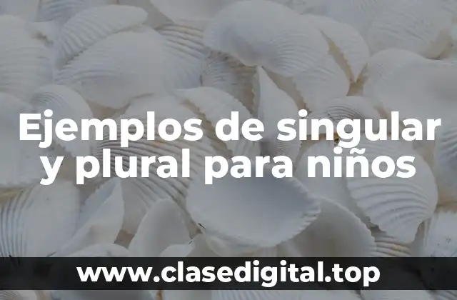 Ejemplos de singular y plural