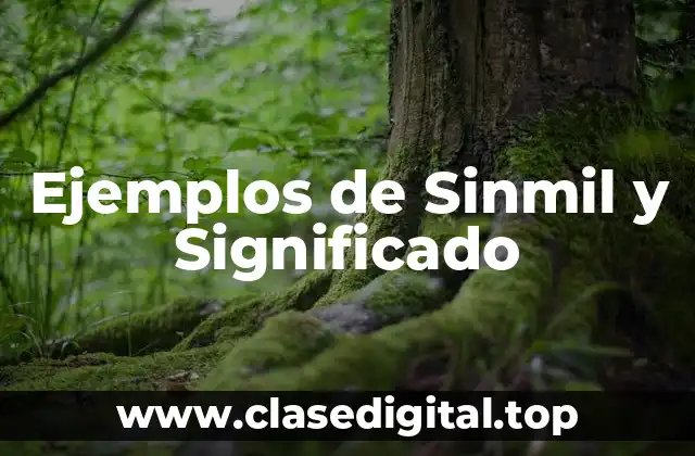 Ejemplos de Sinmil