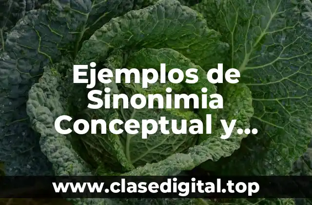 Ejemplos de Sinonimia Conceptual y Significado