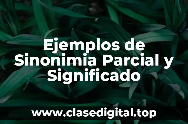 Ejemplos de Sinonimia Parcial y Significado