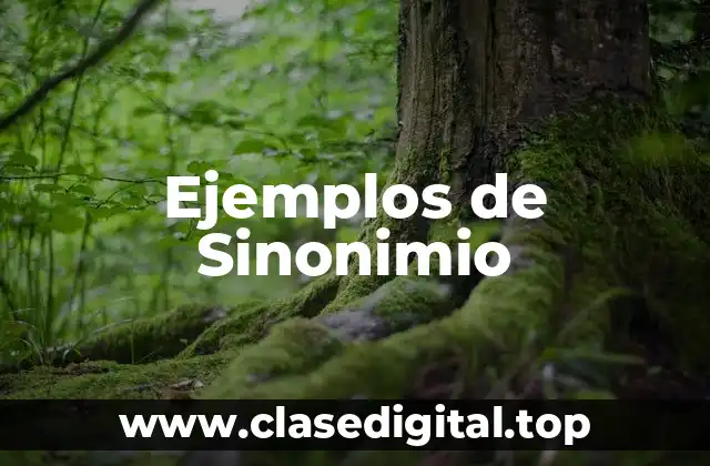 Ejemplos de Sinonimio