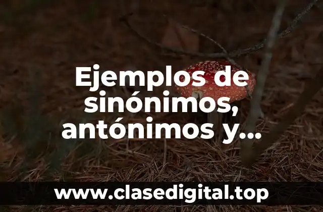 Ejemplos de sinónimos, antónimos y homónimos