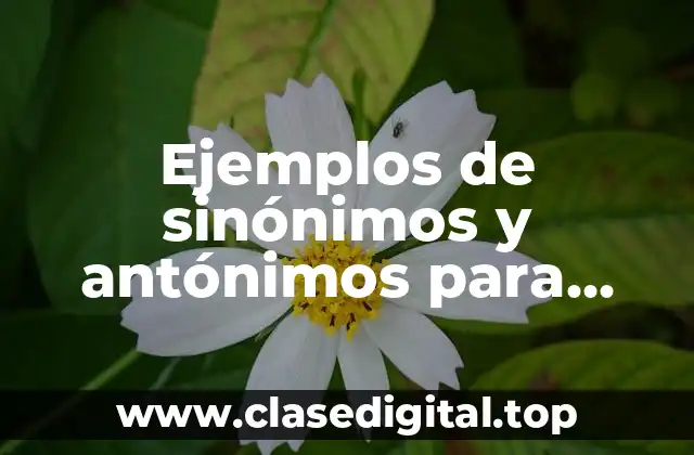 Ejemplos de sinónimos y antónimos para niños de segundo grado