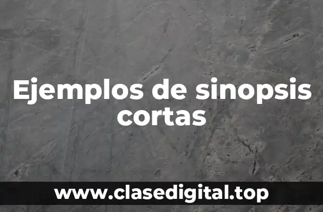 Ejemplos de sinopsis cortas