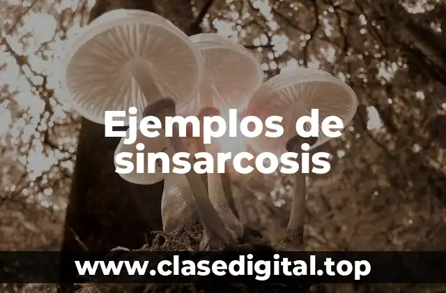 Ejemplos de sinsarcosis