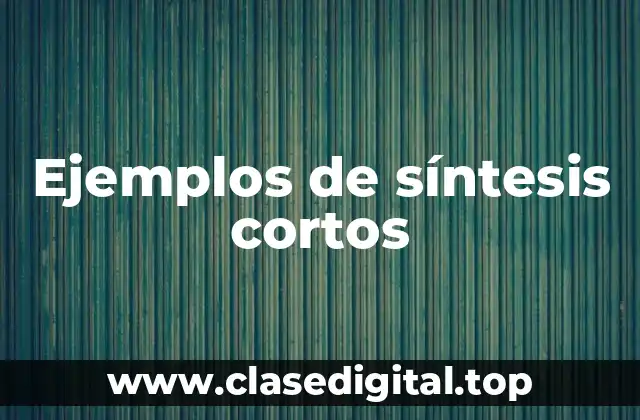 Ejemplos de síntesis cortos