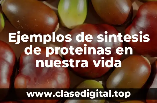 Ejemplos de sintesis de proteinas en nuestra vida