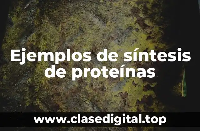 Ejemplos de síntesis de proteínas