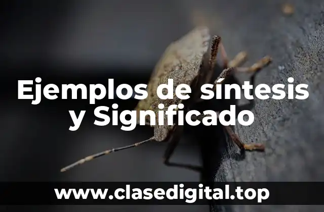 Ejemplos de síntesis y Significado