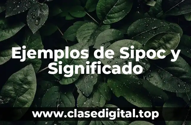 Ejemplos de Sipoc