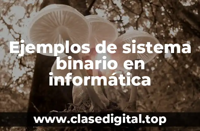 Ejemplos de sistema binario en informática