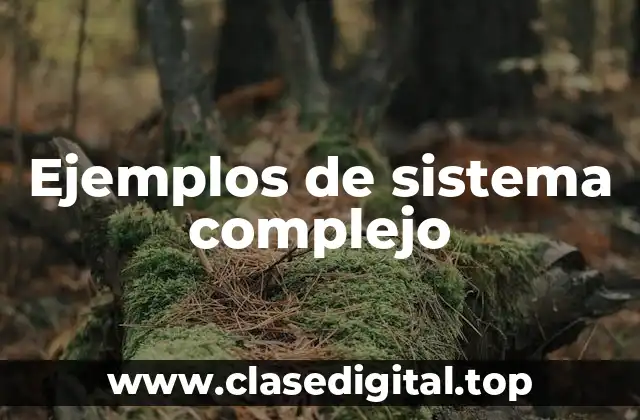 Ejemplos de sistema complejo