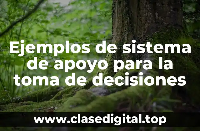 Ejemplos de sistema de apoyo para la toma de decisiones