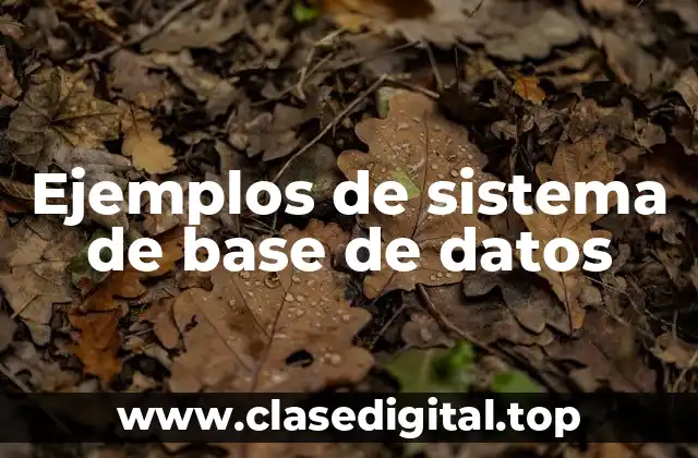 Ejemplos de sistema de base de datos