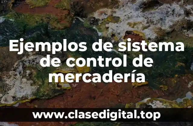 Ejemplos de sistema de control de mercadería