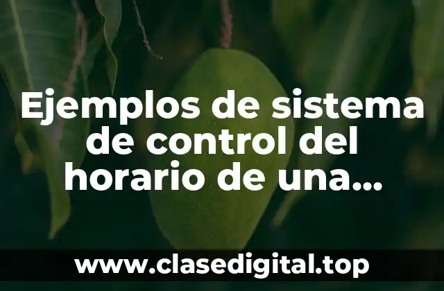 Ejemplos de sistema de control del horario de una empresa