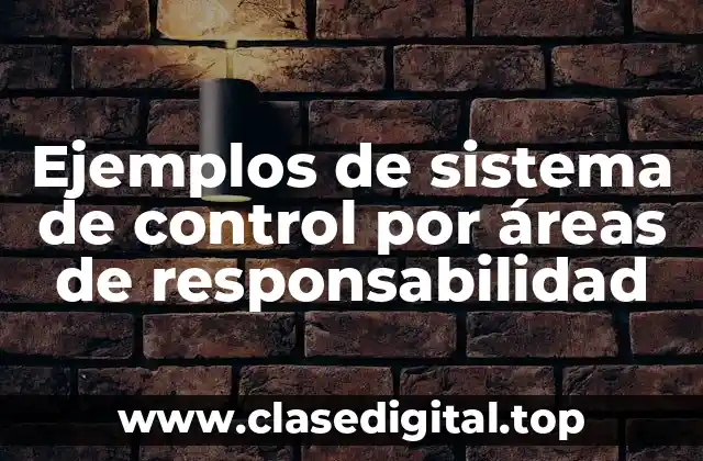 Ejemplos de sistema de control por áreas de responsabilidad