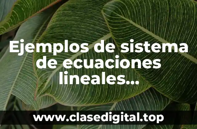 Ejemplos de sistema de ecuaciones lineales independiente