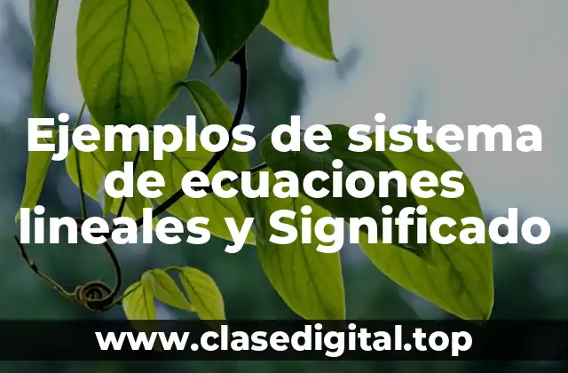 Ejemplos de sistema de ecuaciones lineales y Significado