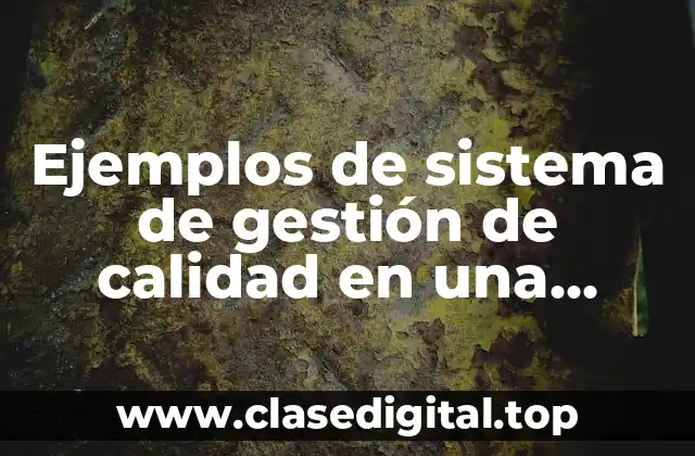 Ejemplos de sistema de gestión de calidad en una empresa