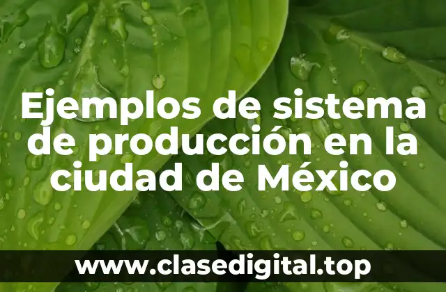 Ejemplos de sistema de producción en la ciudad de México
