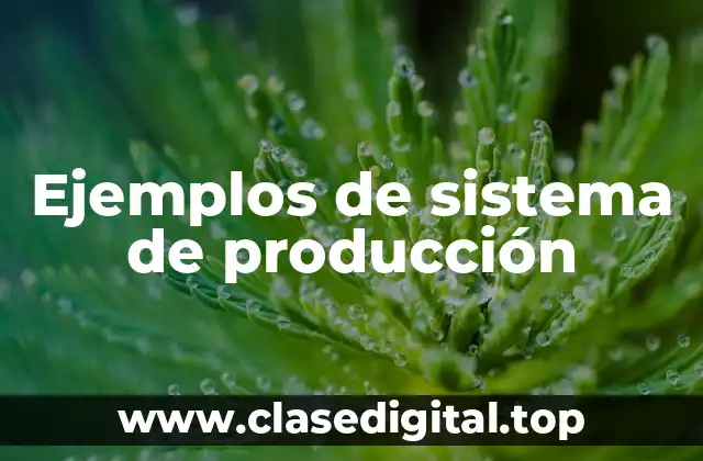 Ejemplos de sistema de producción