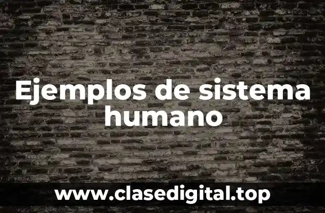 Ejemplos de sistema humano