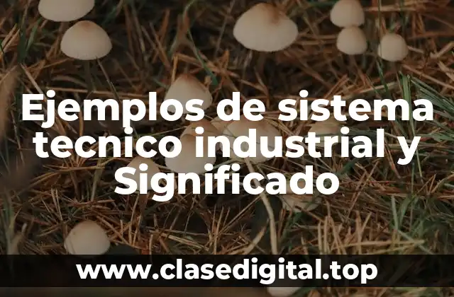 Ejemplos de sistema tecnico industrial