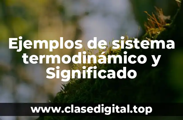 Ejemplos de sistema termodinámico y Significado