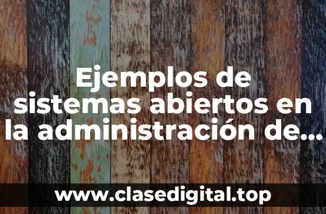 Ejemplos de sistemas abiertos en la administración de la producción y Significado