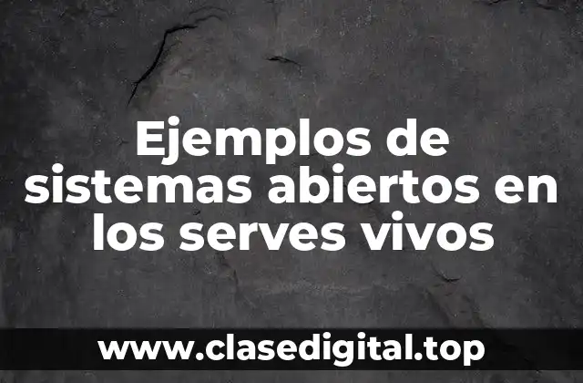 Ejemplos de sistemas abiertos en los serves vivos