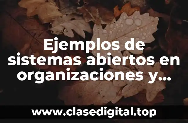 Ejemplos de sistemas abiertos en organizaciones y Significado