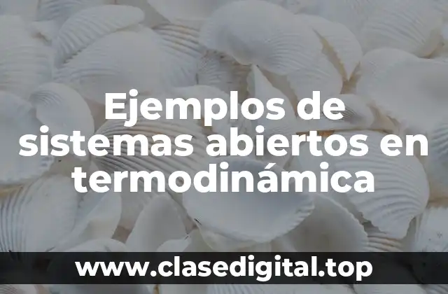 Ejemplos de sistemas abiertos en termodinámica