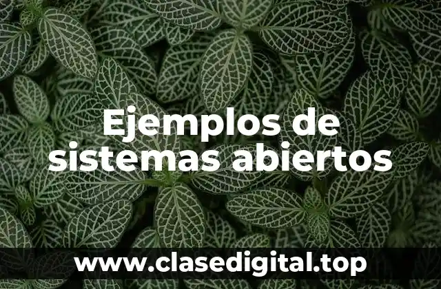 Ejemplos de sistemas abiertos